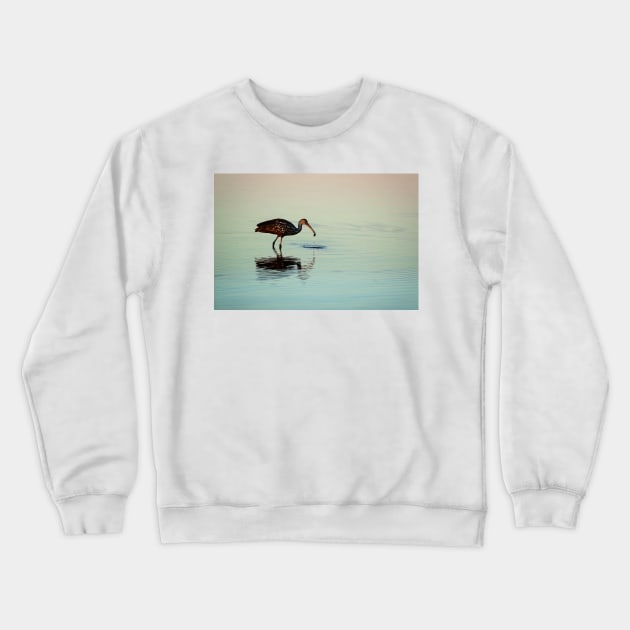 Limpkin with a Mollusk Crewneck Sweatshirt by irishmurr